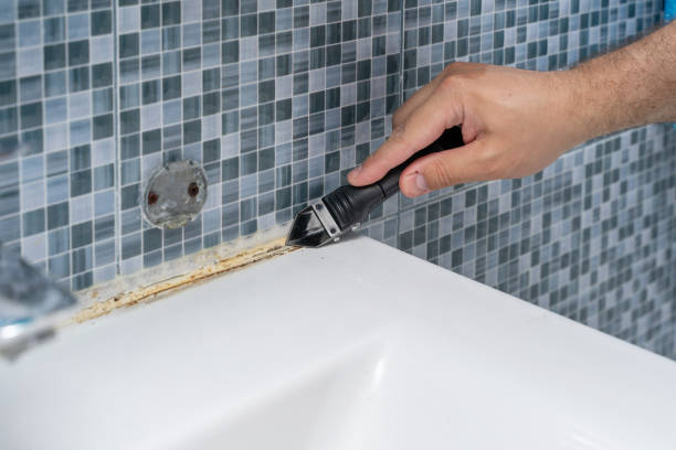 Best Mold Testing and Inspection Services in Wolcott, IN